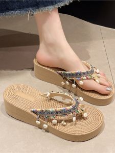 2024 Summer Casual Womens Slippers Ethnic Style Wedge Plaid Flip-Flops Tassel Decoration Elegance Beach Shoes