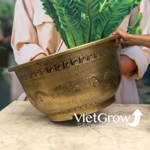 Chậu Nhựa Giả Đồng Song Long Tranh Châu Kích Thước 69 x 38 x 40cm 79 Lít