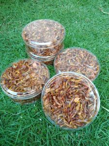 BELALANG GORENG TERMURAH /COD/CEMILAN 120 GRAM