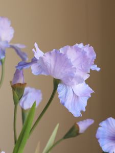 Alices Imitation Flower Decorative Artificial Iris Plant Home Living Room Decoration Photography Props Synthetic Flower Arrangement