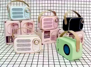 Loa Cổ Điển DW13 Kiểu Dáng Retro Sang Trọng Âm Thanh Mạnh Mẽ Bluetooth 5.0 Ổn Định Pin Sạc Tiện Lợi Bảo Hành 12 Tháng