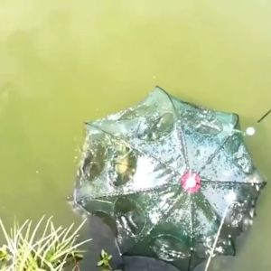 Bingolife Perangkap Bubu Payung Bubu Berbentuk Lipat Udang Kepiting Ikan Wuwu Bubu Jebak 6~16 Lubang