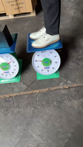 KODENKI Timbangan Pegas Spring Scale 100 KG Commercial Spring Weighing Food Balance Scale Timbang Penimbang Berat Ikan Daging Barang Sayur Buah Tepung Minyak Laundry Kitchen Scale Timbangan Duduk Jarum Timbangan Bulat Manual Kapasitas 100KG KDK-TMV100K