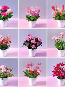 Creative Small Potted Silk Flower Plastic Flower Artificial Flower Decoration Living Room Home Flower Arrangement Ornament Set