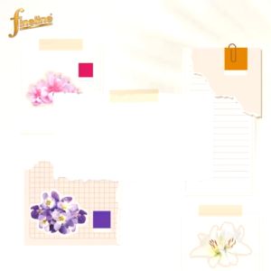 Combo 2 Can Nước Giặt Fineline Thái Lan Can 3000ml- Nước giặt xả quần áo chính hãng Công ty Đại Thịnh.....