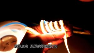 12V SMD 5050 60LED / 12V SMD 2835 120LED / 12V COB 320LED / 24V COB 320LED 5M SUPER BRIGHT LED STRIP LIGHT DC Non-Waterproof Lighting Decoration  ( NOT COMPLETE SET!!! )