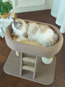 【🔥🔥SG SPOT】3.0 Upgrade Sisal Cat Climbing Frame 100% Sisal Oval Cat Scratching Board with Stair Cat Posts
