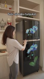 Kulkas dua pintu Polytron PRM 495GH