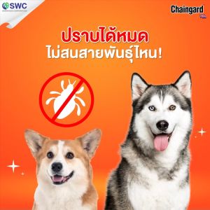 แชมพูสูงสุนัข เชนการ์ด Chanigard แชมพูสูงสูงในประโยชน์ของการลดสุนัข การรักษาสุขภาพด้วยวิธีการดื่มด้วย สำหรับเชนการ์ด 1