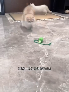 Interactive Cat Toy For Automatic Smart Cat Toy Electric Cat Ball With Motion Activate Sensor
