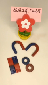 【READY STOCK】Science Laboratory Experiment Magnet/Physics Educatio Horseshoe U Shape/Peg-Shaped Teaching Magnet Strip