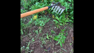 Keranixy Garden Weeding Hoe Rake Farm Tool Weeding Agricultural Tools Tooth Nail Harrowing Tool Cangkul Tanah