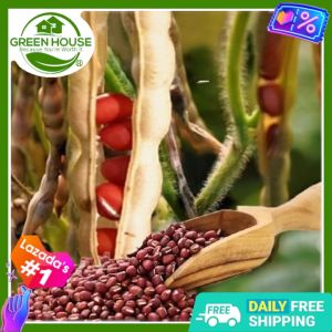 Green House® - Red Mungo/Monggo Seeds for Planting Vegetable Plants (50 Seed) incl. Planting Instruction Red Mungo Mango Seeds Redwood Tree Seeds - Lazada