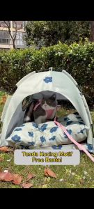 Tenda Kucing Motif Fullset Alas Bantal Kasur Tenda Kucing Anjing Kelinci Cat Kitten Anabul Tenda Lipat Portable Ekonomis Kandang Hewan Portable Tempat Tidur Kucing