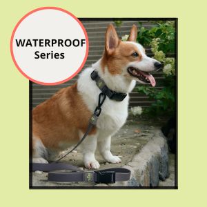 Munikund Waterproof Dog Collar Silicone PVC Adjustable | Double Structure Double Sewing | Flexible | Width 20 to 25mm for Small Medium Large Dogs