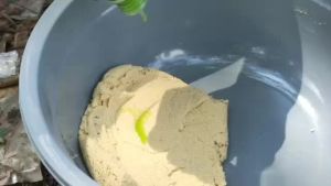 Essen ikan mas khas bandung - aroma kacang melon ( camel ) 15ml