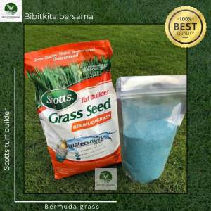 BAYAR DI TEMPAT COD Benih Rumput Lapangan Sepak bola 100gram - Benih Rumput Bermuda Lapangan Sepak bola - Taman - Golf DLL 100gram