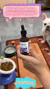 Nutridog PROBIOTIC pet probiotic for dog pet cat probiotic 60ml salmon flavor dog treats mulitivitamins vitamin