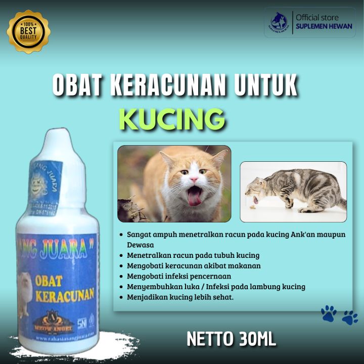 Obat Mengatasi Keracunan Pada Kucing 30ml - Solusi Ampuh untuk Kesehatan Kucing