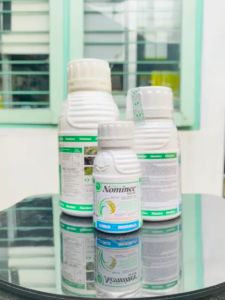 Herbisida Lingkungan Aman Buat Padi: Petunjuk Penggunaan & Manfaat