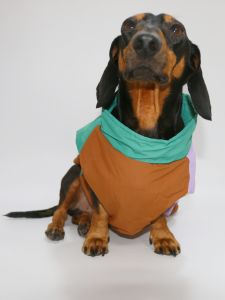 Warm Fleece Lined Pet Vest for Small Dogs And Cats Autumn Winter Checkered Cotton Dog Clothes Pomeranian Bichon Fashionable Pet Apparel