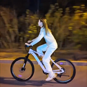 Jeep 27.5 Inch 27 Speed Adult Mountain Bike Aluminum Alloy Lightweight 27 Speed Dual Disc Brake Shock-Absorbing Mountain Bike PT300