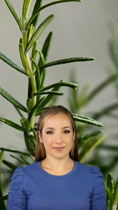 Rosemary Leaves 50g - All Natural Herb Premium Quality