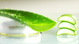 Dưỡng bóng phục hồi làm mềm cho tóc xoăn CHI Aloe Vera CURLS DEFINED HUMIDITY RESISTANT LEAVE-IN CONDITIONER 177ml Mỹ