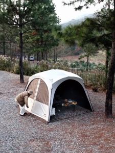 Naturehike CLOUD WORLD Series Modular Outdoor Camping Automatic Tent Canopy Multi-Functional Module Splicing Unlimited Connection Self Standing Fast Build Awning Canopy Bedroom Large Space Waterproof Black Vinyl Coated Sunscreen Boundar