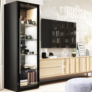 Digi-Cabi Dry Cabinet For Bags Lux Series DW-500DL (New Light System)