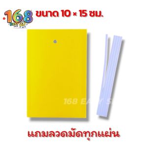 [พร้อมส่ง] กาวดักแมลงวันทอง แผ่นกาว ดักแมลง ไร้สารพิษ! กับดักแมลง กาวเหนียว2ด้าน