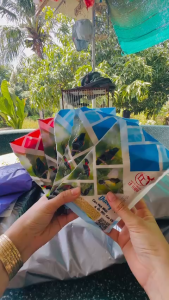 (combo 3 dưỡng 2vip)Cám hút mật Lê Thịnh cho chim hút mật gói 100gr Bảo An Shop