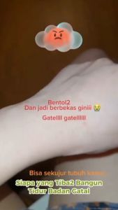 Spray Ampuh Membunuh Kutu Kasur & Kutu Busuk Sampai Sarang Original