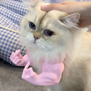 Cat Muscle Arm 3D Printing Creative Giant Arm Pet Cosplay Costume Accessories for Halloween Birthday Party Supplies