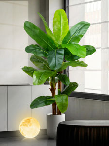 High-End Imitation Banana Leaf Plant Living Room Large Decoration