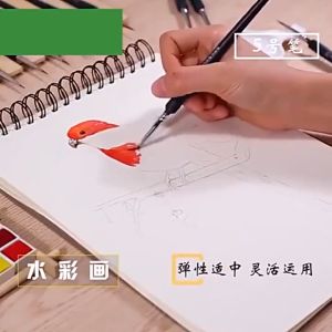 watercolor acrylic oil painting drawing liner pen Hook line paint brush set detail paint brush