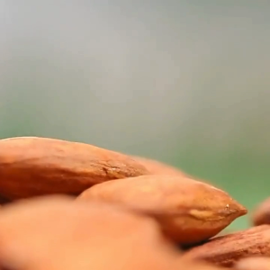 เม็ดอัลมอนด์ แอลมอล อัลมอนด์ (พร้อมทาน) เต็มเมล็ดใหญ่ เกรด AAA ผลิตใหม่ตลอด 500 กรัม / 250 กรัม / 100 กรัม