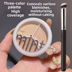 LuckFavor | Dark Circle Concealing Makeup for Spots Tattoo Acne