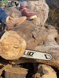 บาร์เลื่อยยนต์พร้อมโซ่ 11.5นิ้ว-24นิ้ว 3/8-325ใหญ่ สำหรับเลื่อยตัดไม้ ชุดบาร์เลื่อยและโซ่ บาร์+โซ่ผ่าไม้ โซ่ผ่าไม้ โซ่เลื่อย ความแข็งสูง คม ไม่ยืดง่าย