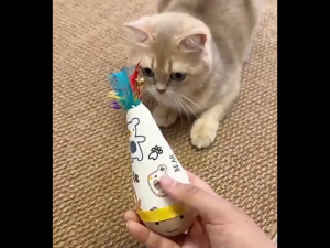Natural Beechwood Cat Toy Weeble Wobble Tumbler Toy for Indoor Cats & Small Dogs