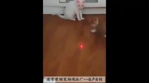 3 in 1 Laser Light With Key Chain Cat Toy Multifunction Laser Pointer Pen Flashlight Torch with UV Light Banknote Detector Function