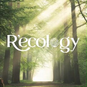 50% สำหรับผู้ที่มีความสนใจในสินค้า "STEVENS ผ้าขนหนู Stephanie ที่มาพร้อมกับ Concept R’Ecology!