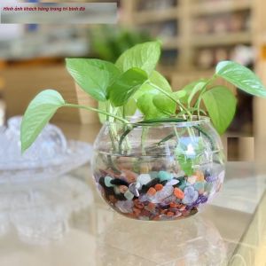 Đá Vụn Bóng Tự Nhiên - Đá Thanh Tẩy - Trang Trí Thả Bể Cá Rải Chậu Cây Cảnh - 100 gram