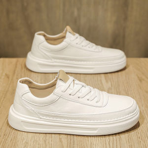 Mens Casual Leather Shoes 2025 Autumn Winter Thick Bottom Leisure Teenagers Universal Sports Fashionable White Shoes