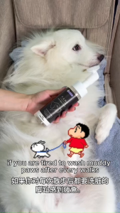 (For Furry Friends) P.A.W.S Waterless Foam Cleanser