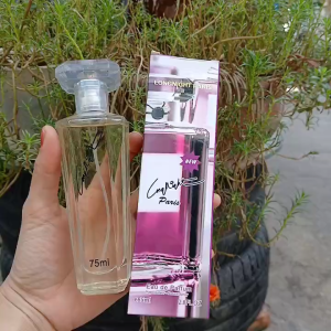 Nước Hoa LongNight Paris Hương Thơm Lôi Cuốn Tinh Tế 75ml