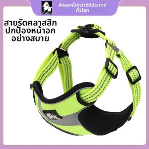TRUELOVE | Vest Style Dog Harness