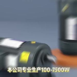 MEINWAY | Speed Control Motor Stand Type