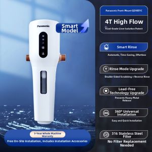 Panasonic | Household Full Coverage Automatic Backwash Water Filter