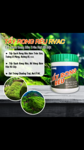 Bột Diệt Rong Rêu Và Nấm Bò Hóng Cho Cây - Power Chlorine 70wp RVAC 250g